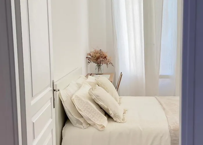 Shared Duplex Nice-port نيس