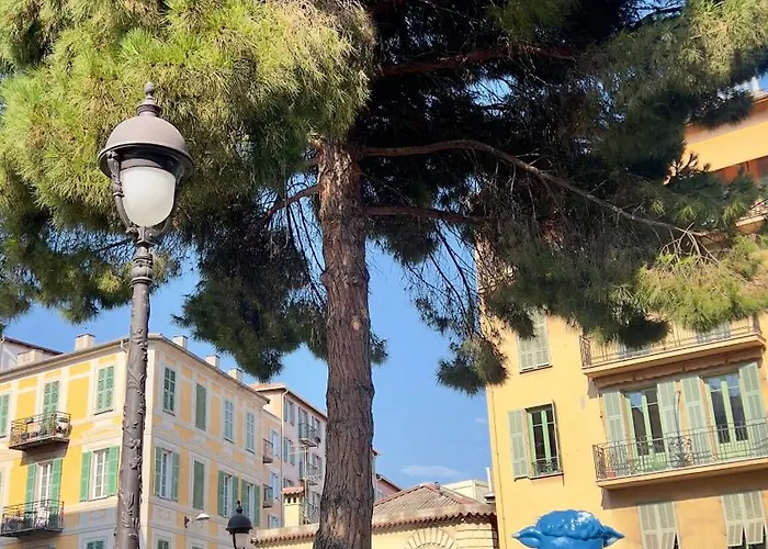 Shared Duplex Nice-port * Nice